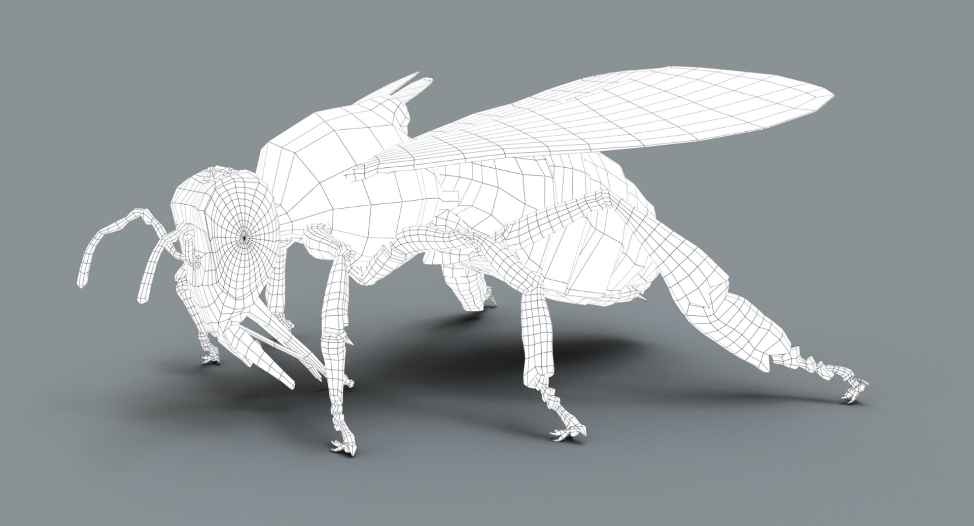 honeybee rigged fur 2 3D model https://p.turbosquid.com/ts-thumb/go/XvzpiT/2EcuFk1r/wire03/jpg/1541132821/1920x1080/fit_q87/736b2b8b15df99ea1a549298c7bb70de79722e3e/wire03.jpg