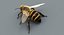 honeybee rigged fur 2 3D model