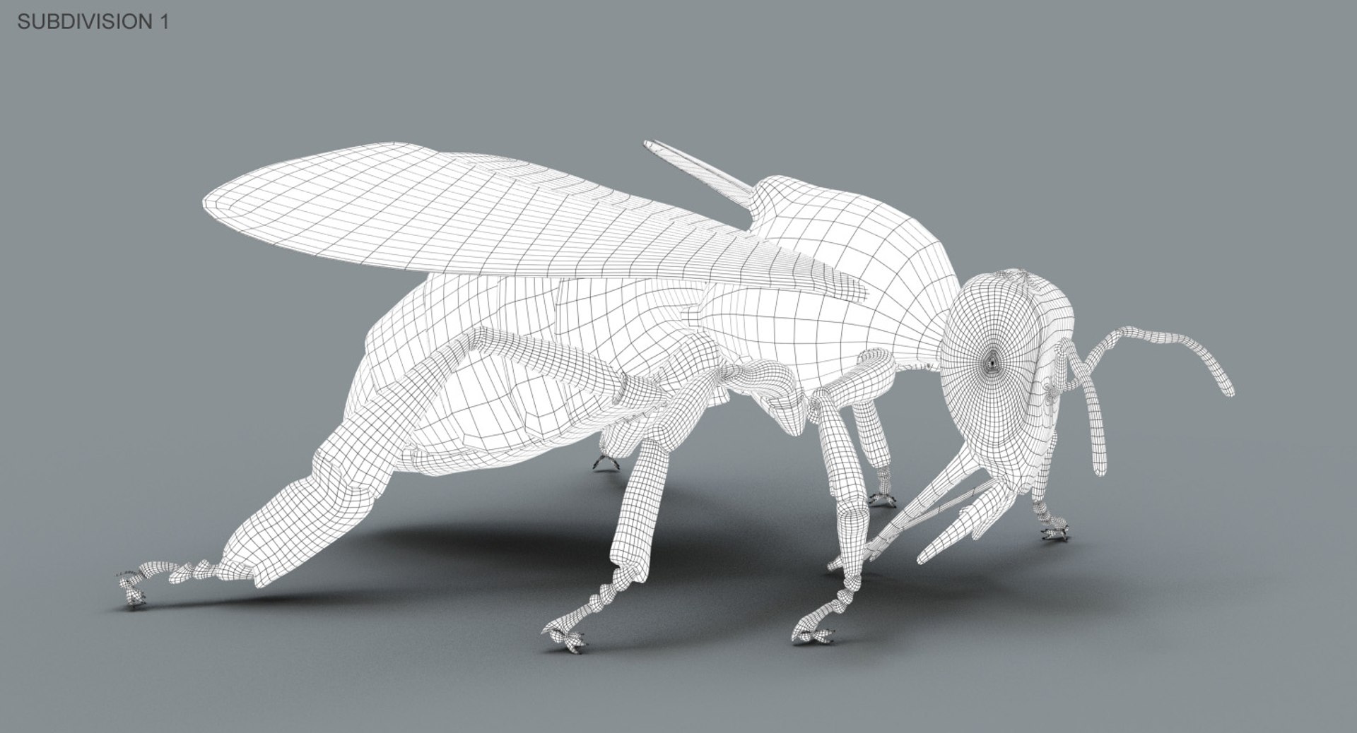 honeybee rigged fur 2 3D model https://p.turbosquid.com/ts-thumb/go/XvzpiT/9FBgL6ZI/wire01b/jpg/1541132821/1920x1080/fit_q87/c833df69e5e46113fcd8a22a57a516613b6a60d1/wire01b.jpg
