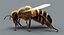 honeybee rigged fur 2 3D model