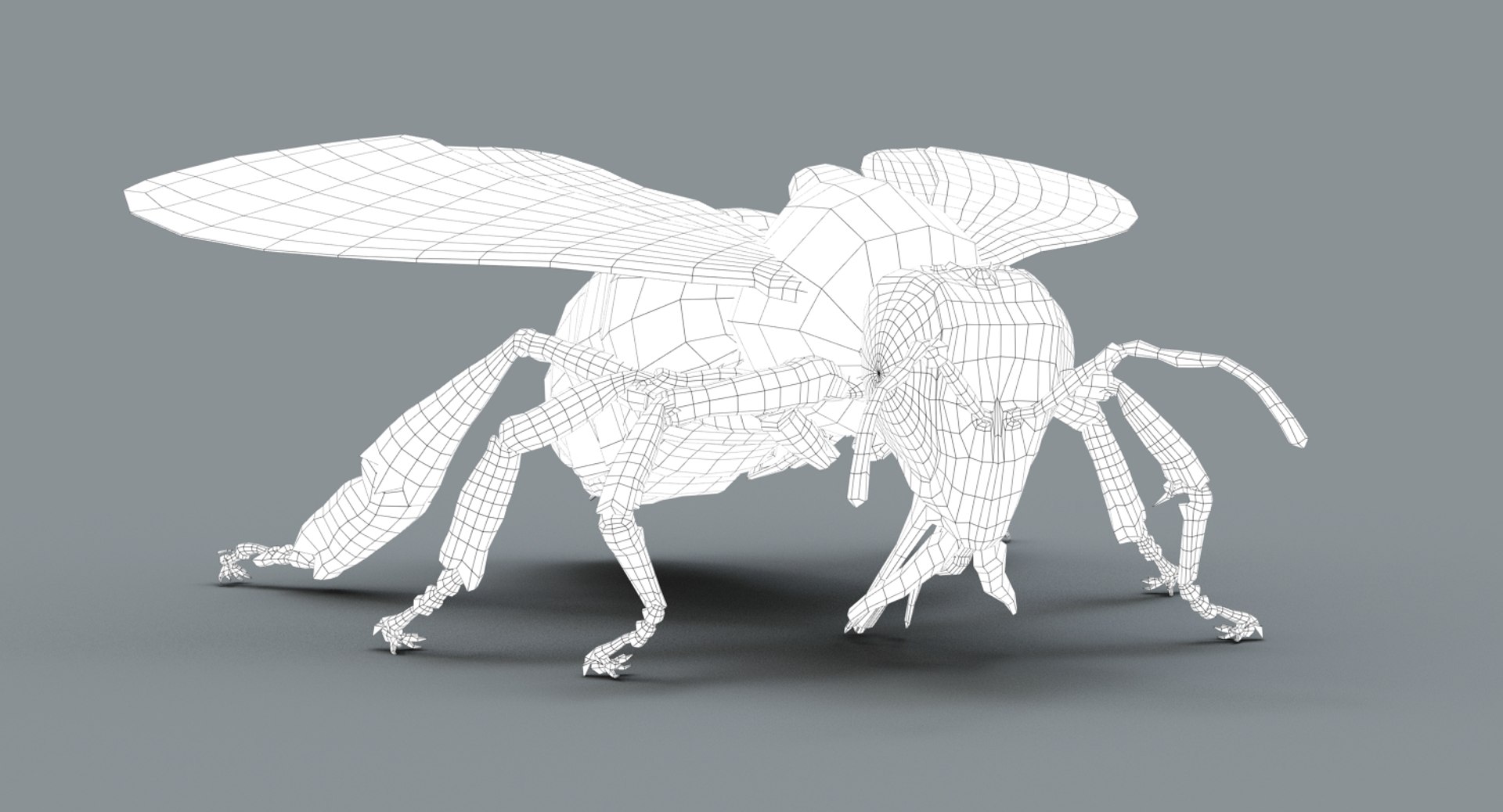 honeybee rigged fur 2 3D model https://p.turbosquid.com/ts-thumb/go/XvzpiT/j72fyKPu/wire04/jpg/1541132821/1920x1080/fit_q87/d219ee25f4b81c74e60aef8443fcde18bb861fe3/wire04.jpg