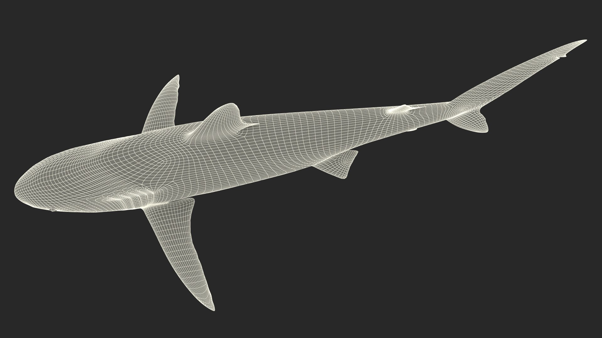 Realistic Silky Shark Rigged 3D https://p.turbosquid.com/ts-thumb/go/YUOaj3/62/realisticsilkysharkrigged3dmodel026/jpg/1722825674/1920x1080/fit_q87/74159ef15c74cfd7ef9c605f992b580bbd20c181/realisticsilkysharkrigged3dmodel026.jpg