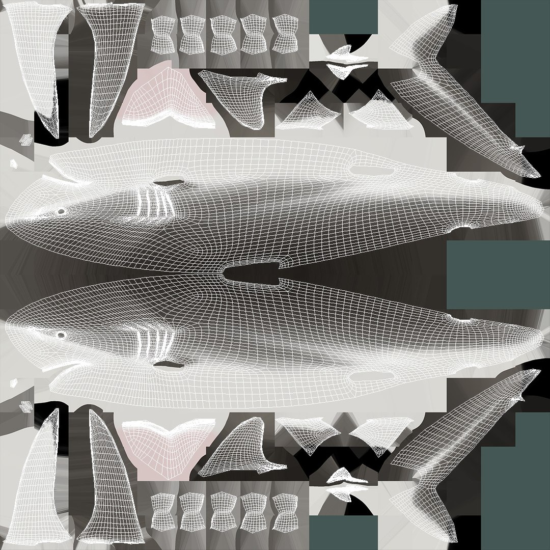 Realistic Silky Shark Rigged 3D https://p.turbosquid.com/ts-thumb/go/YUOaj3/8C/realisticsilkysharkrigged3dmodel020/jpg/1722825639/1920x1080/fit_q87/d43d20fd8fdc61119e8a3dcd29c14e4b509a5b82/realisticsilkysharkrigged3dmodel020.jpg
