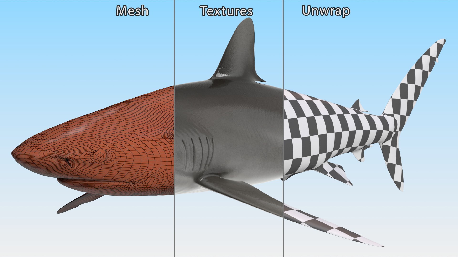 Realistic Silky Shark Rigged 3D https://p.turbosquid.com/ts-thumb/go/YUOaj3/BC/realisticsilkysharkrigged3dmodel017/jpg/1722825621/1920x1080/fit_q87/96204180f7aac050c22607404d7bfec66c5a46d1/realisticsilkysharkrigged3dmodel017.jpg