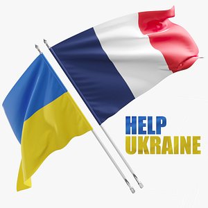 Flag France Ukraine Support 3D model