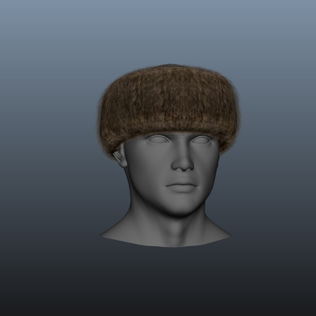 3d Raccoon Hat