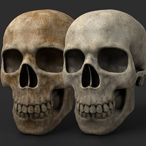 Skulls Lowpoly 4k Low-poly