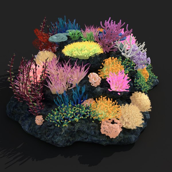 3d coral model