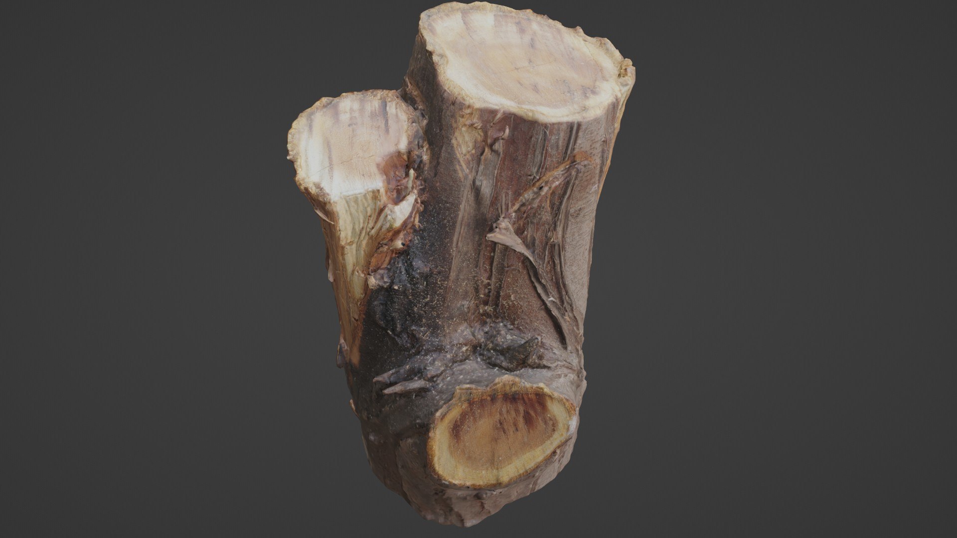 Stump Model - TurboSquid 2332324