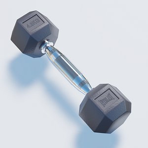 3D weight sport model