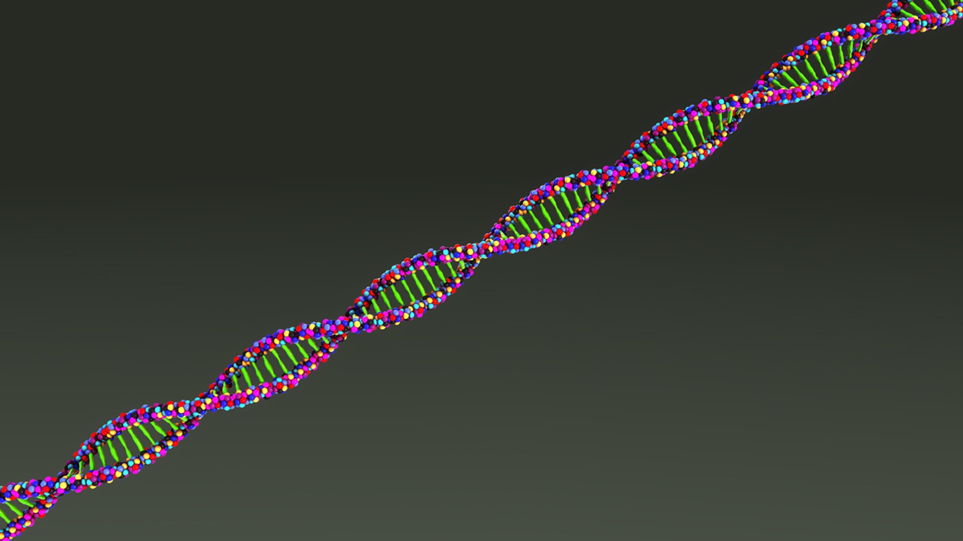 3d Dna