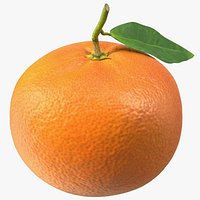Mandarin with Leaf