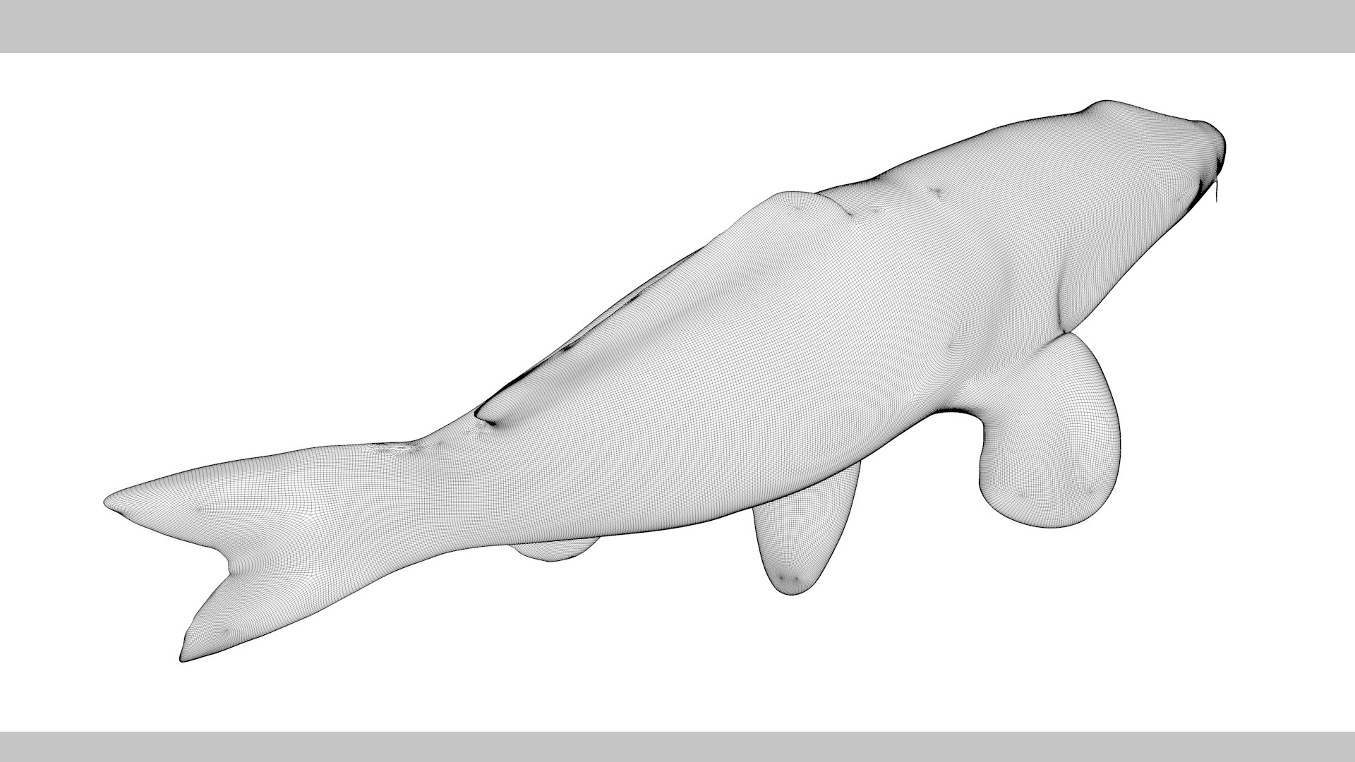 Japanese Carp Fish Rigged L1844 3D model https://p.turbosquid.com/ts-thumb/gp/98n1qJ/H0/60/png/1665089153/1920x1080/fit_q87/aaa4c74fecc0be6be2aad7cf6b771f08cf470034/60.jpg
