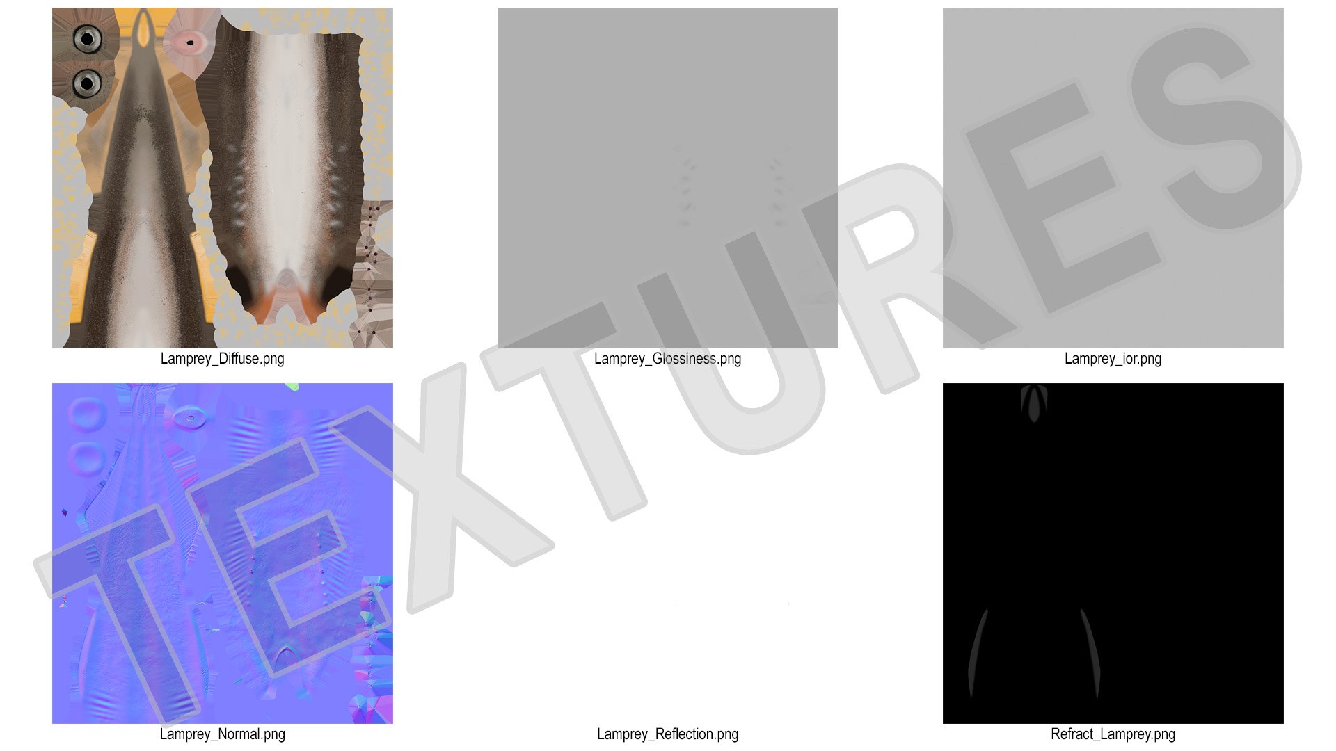 3D model Lamprey Eel Basic Pose https://p.turbosquid.com/ts-thumb/gp/OZf0xX/vX/lampreyeelbasicposevray3dmodel018/jpg/1708138500/1920x1080/fit_q87/a29ecb4d397dca9dc873cb5e3e8b2714bff040dd/lampreyeelbasicposevray3dmodel018.jpg