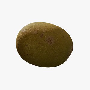 3D model Anydrafts Actinidia chinensis 02