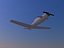 Concept Plane (prop)