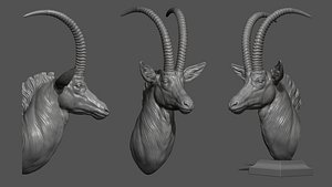 3D Sable Black Antelope bust model
