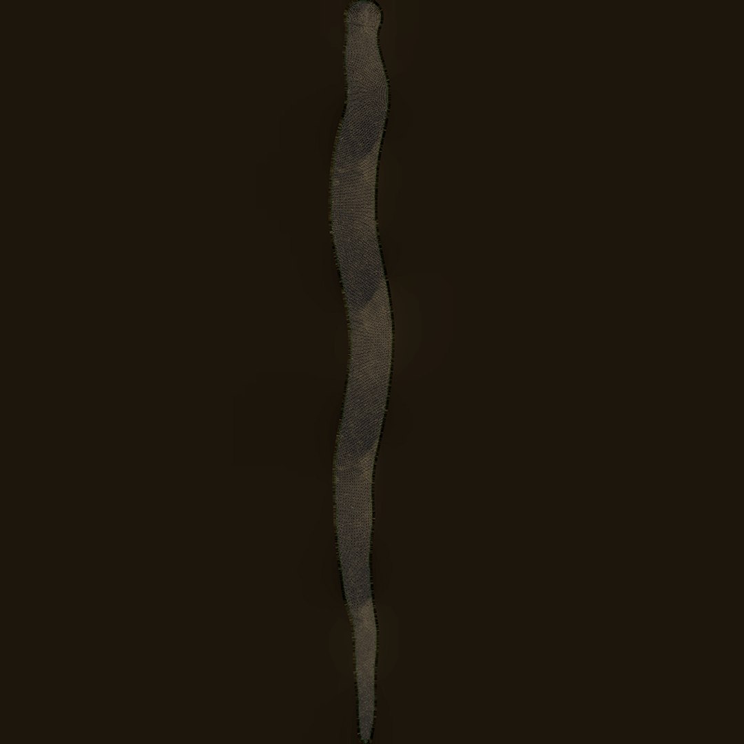 Gold-Silver Snake Wall Art 3D model https://p.turbosquid.com/ts-thumb/gq/BUvKx3/U0/uvw_011/jpg/1660354298/1920x1080/fit_q87/7ba62c5853e5779a1dc00b2ed1f7d1170067ec4d/uvw_011.jpg