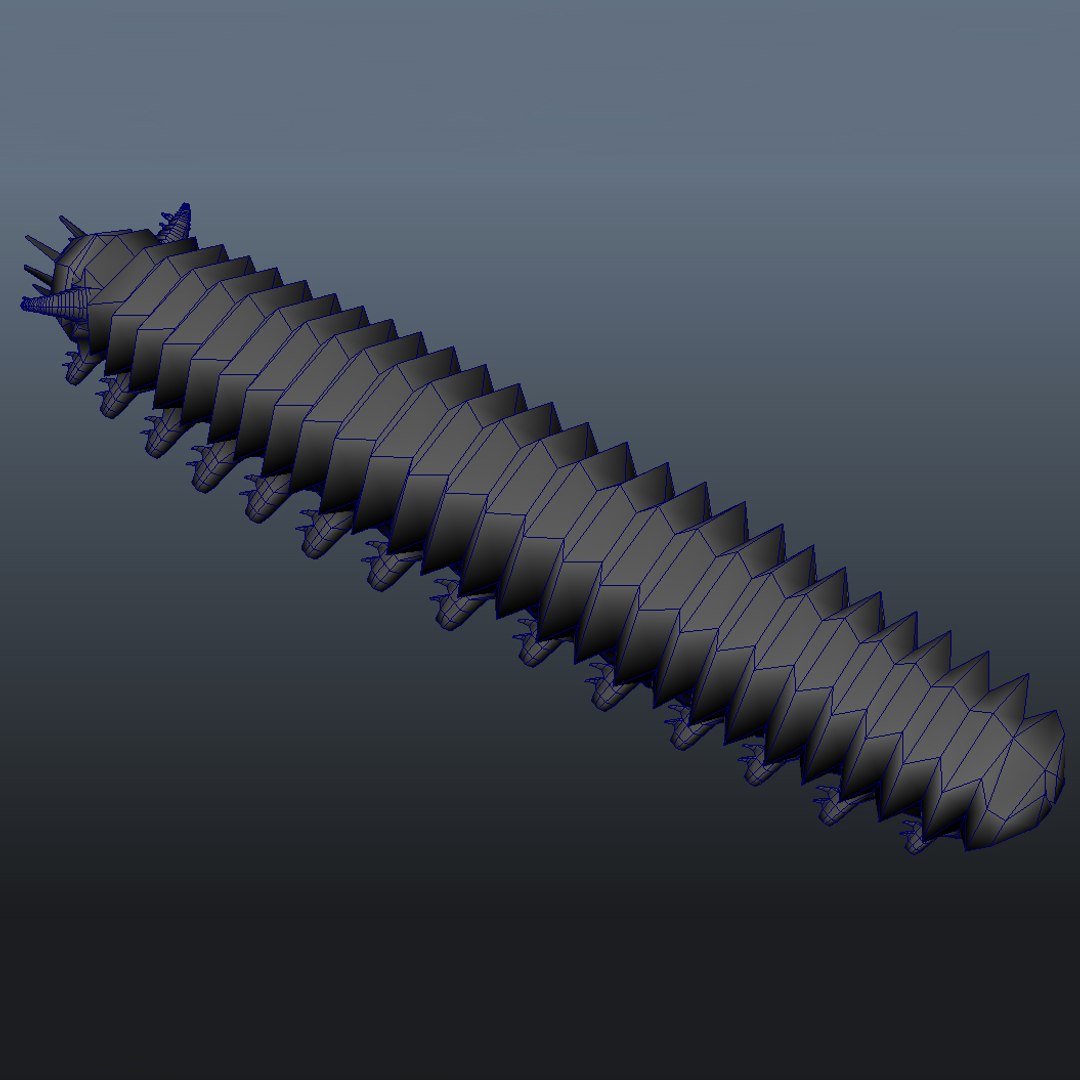 3d Model Rigged Velvet Worm