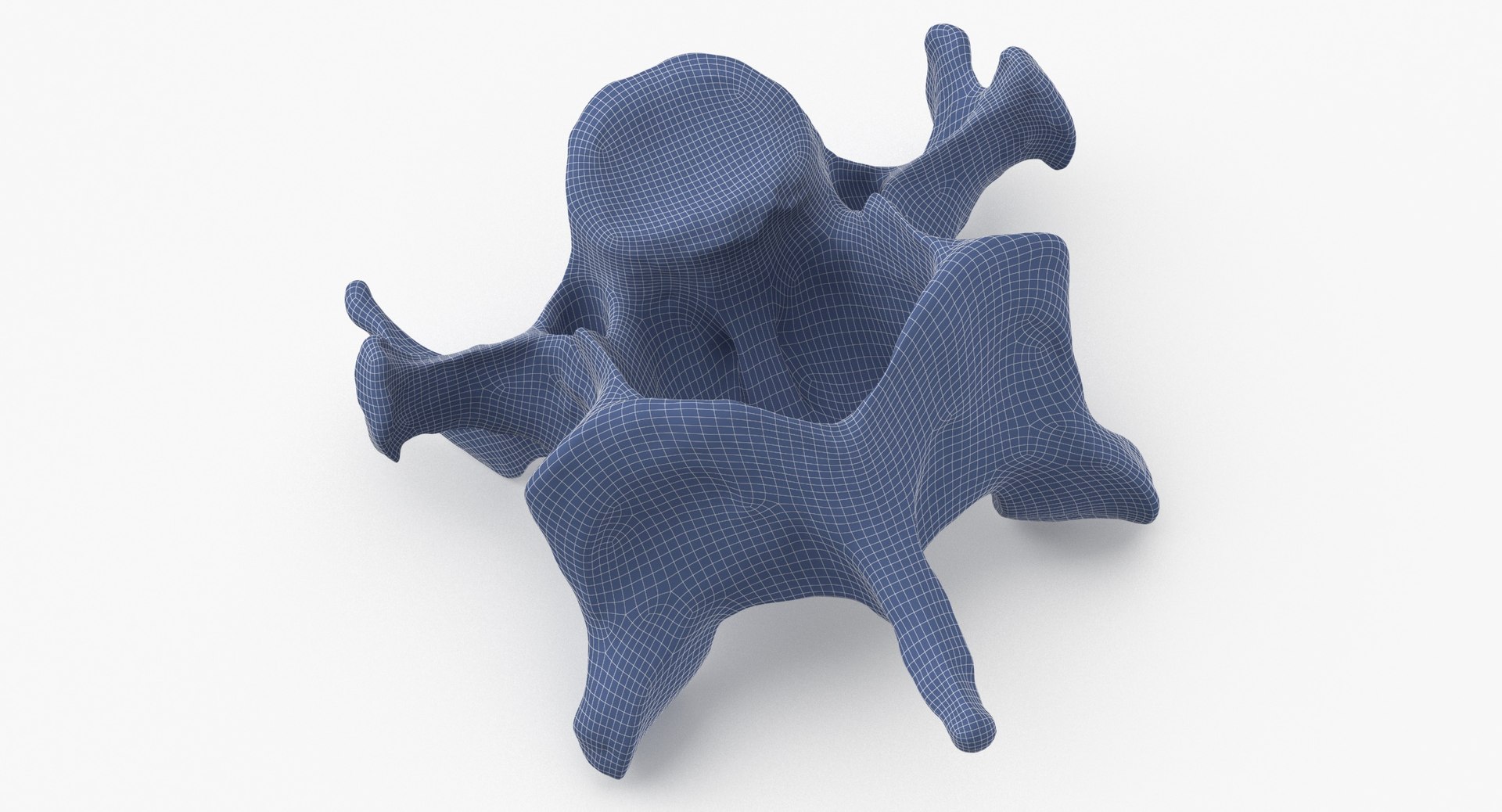 Domestic Cat Cervical Vertebrae C5 3D https://p.turbosquid.com/ts-thumb/gq/T4xXhj/4w/domestic_cat_cervical_vertebrae_c5_wireframe_0002/jpg/1660291581/1920x1080/fit_q87/b961ff00561ad059b2db01824816301caf4e0961/domestic_cat_cervical_vertebrae_c5_wireframe_0002.jpg