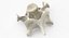 Domestic Cat Cervical Vertebrae C5