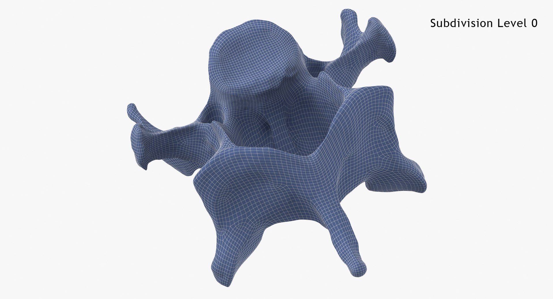 Domestic Cat Cervical Vertebrae C5 3D https://p.turbosquid.com/ts-thumb/gq/T4xXhj/GF/domestic_cat_cervical_vertebrae_c5_subdiv0_0001/jpg/1660291610/1920x1080/fit_q87/6dc34510a10a5c763e64938b260a8710e02ca21b/domestic_cat_cervical_vertebrae_c5_subdiv0_0001.jpg