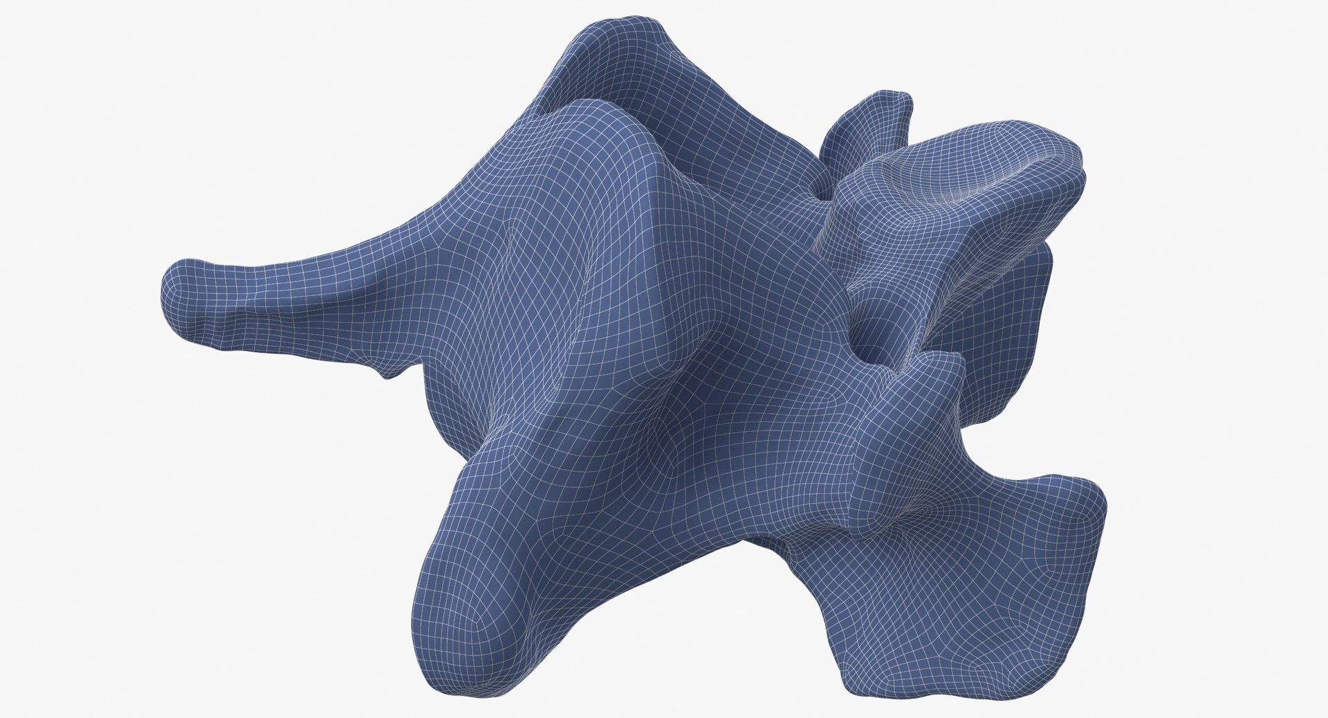 Domestic Cat Cervical Vertebrae C5 3D https://p.turbosquid.com/ts-thumb/gq/T4xXhj/tj/domestic_cat_cervical_vertebrae_c5_wireframe_0009/jpg/1660291606/1920x1080/fit_q87/019e80d1ca89630527847a4ffa6dabe5f20b16d8/domestic_cat_cervical_vertebrae_c5_wireframe_0009.jpg