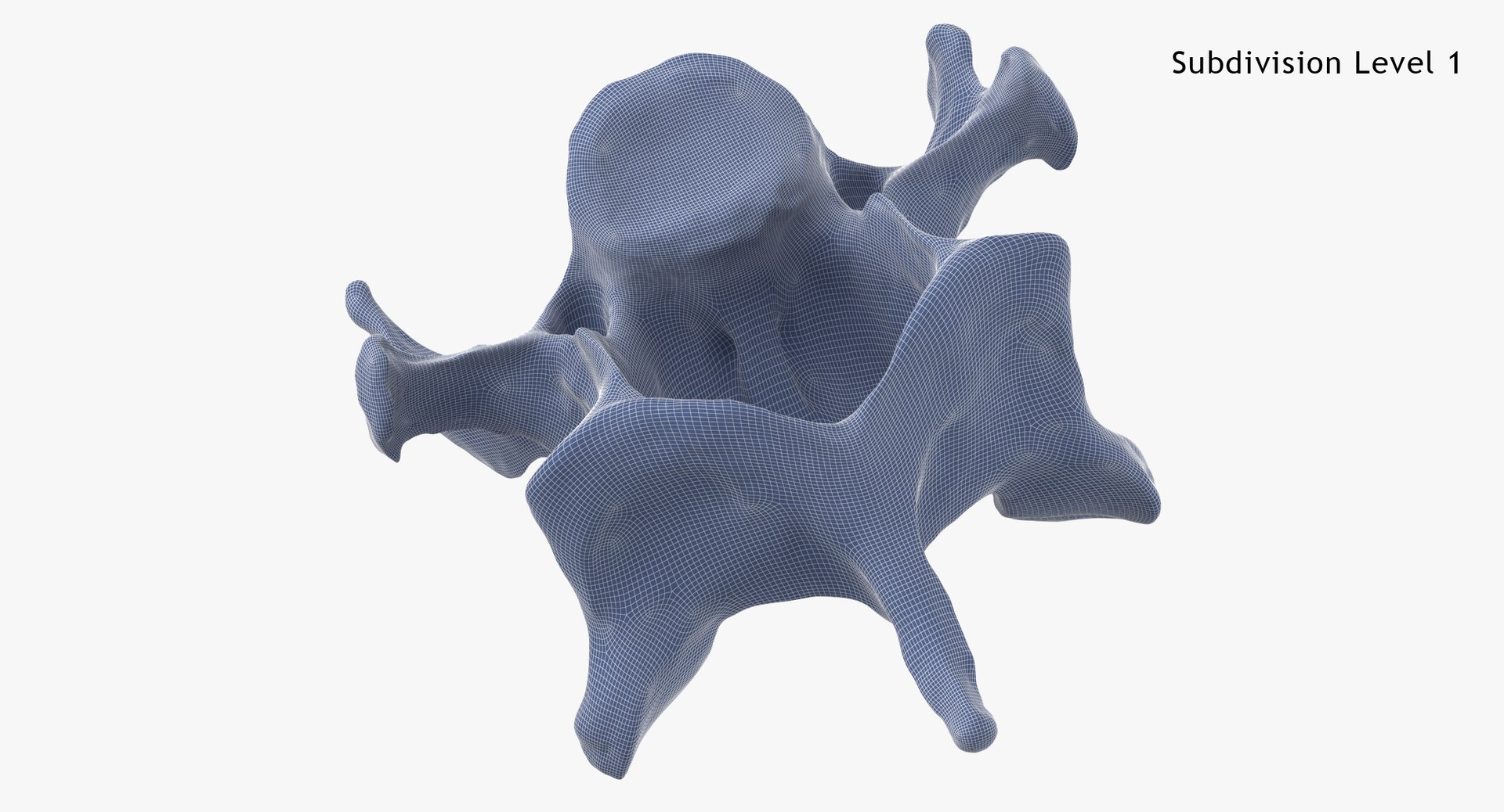 Domestic Cat Cervical Vertebrae C5 3D https://p.turbosquid.com/ts-thumb/gq/T4xXhj/vk/domestic_cat_cervical_vertebrae_c5_subdiv1_0001/jpg/1660291614/1920x1080/fit_q87/91e3bf2587a236a1dd8f1562b75ab13c0e17cbdc/domestic_cat_cervical_vertebrae_c5_subdiv1_0001.jpg
