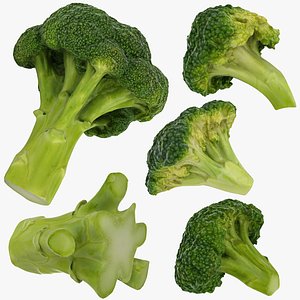 vegetable broccoli 3D model
