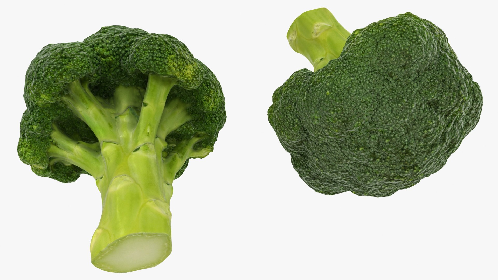vegetable broccoli 3D model https://p.turbosquid.com/ts-thumb/gq/wO04DC/3t/32/jpg/1612022351/1920x1080/fit_q87/d6471602fc1eed850e1ba3661a0ccfa88c582928/32.jpg