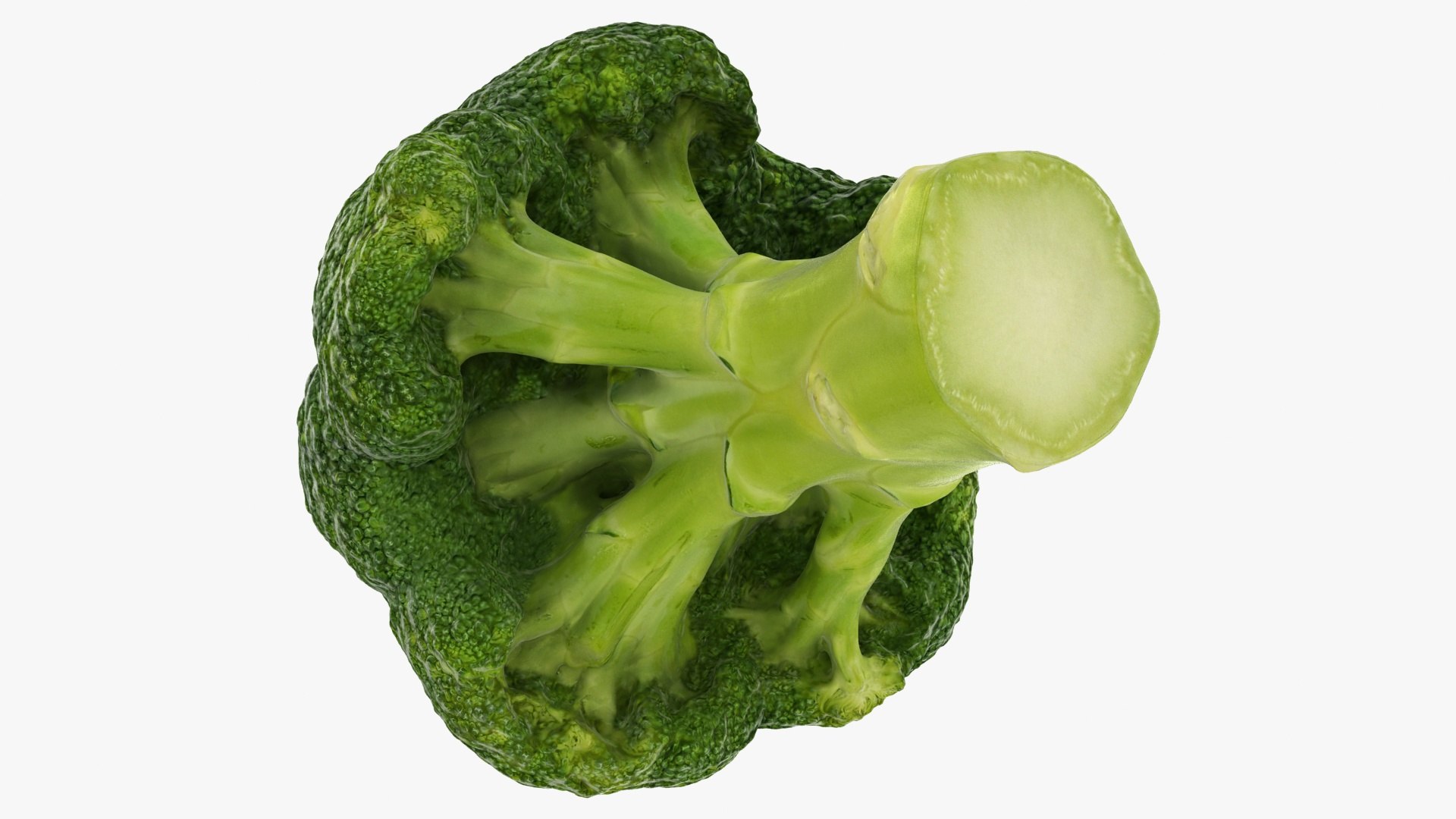 vegetable broccoli 3D model https://p.turbosquid.com/ts-thumb/gq/wO04DC/Hx/34/jpg/1612022348/1920x1080/fit_q87/f50c0b328b3844132adcc3920715be1a9b997918/34.jpg