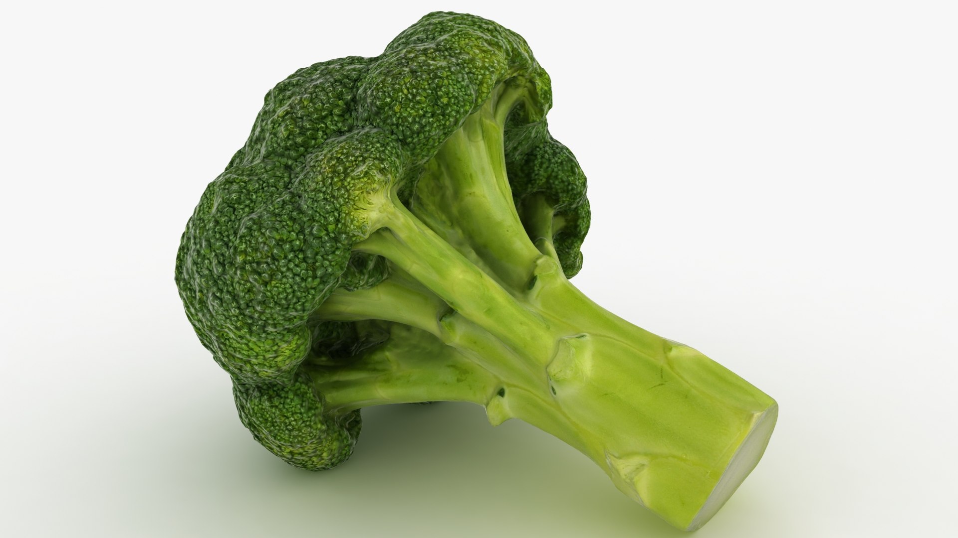 vegetable broccoli 3D model https://p.turbosquid.com/ts-thumb/gq/wO04DC/IE/31/jpg/1612022349/1920x1080/fit_q87/3b987f48149fc5190d63ebe3fa91a9a5c55e10ea/31.jpg