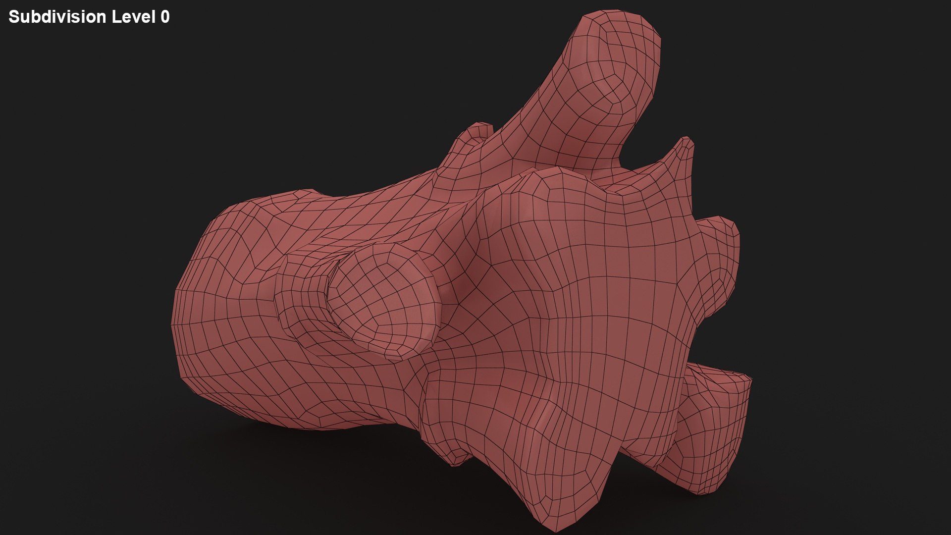 vegetable broccoli 3D model https://p.turbosquid.com/ts-thumb/gq/wO04DC/Pp/44/jpg/1612022353/1920x1080/fit_q87/5784b36f2879efb3be4c9207a42dc997807237e2/44.jpg