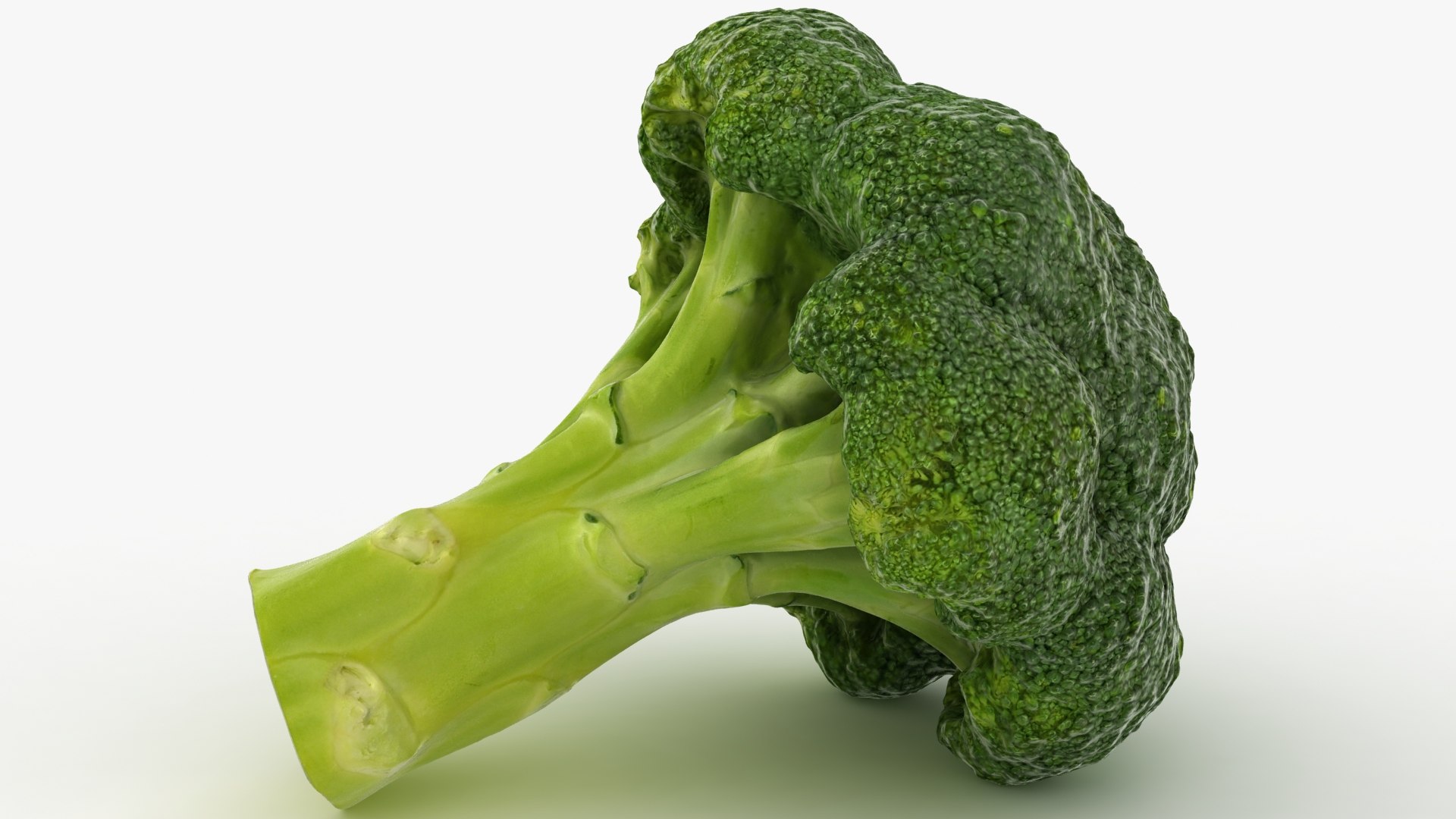 vegetable broccoli 3D model https://p.turbosquid.com/ts-thumb/gq/wO04DC/Ud/33/jpg/1612022351/1920x1080/fit_q87/17a19ef502fc2c7ac02526350e87df850023af52/33.jpg