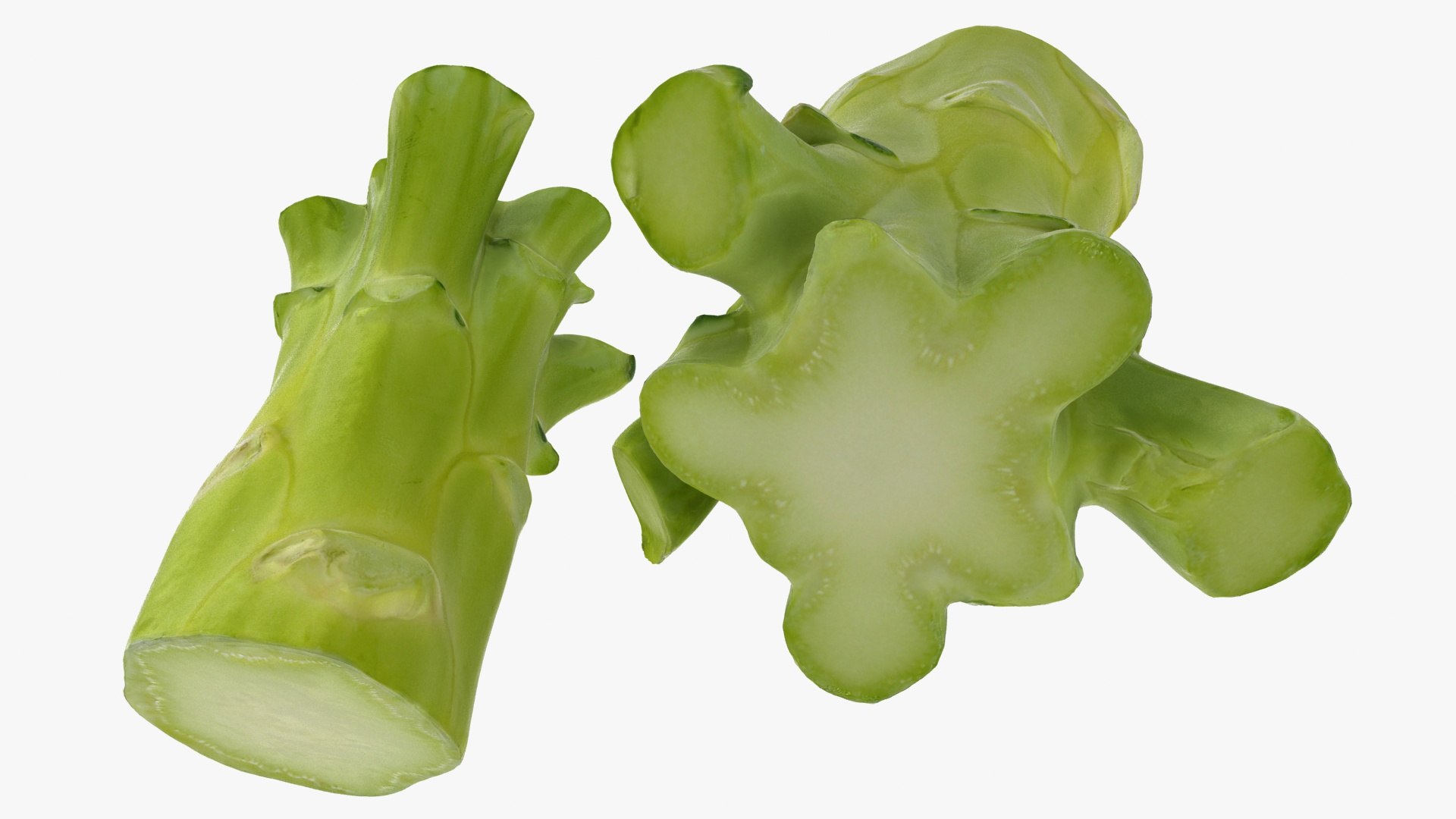 vegetable broccoli 3D model https://p.turbosquid.com/ts-thumb/gq/wO04DC/Vu/42/jpg/1612022354/1920x1080/fit_q87/d5a696120b510ac9e9b4a3d28d222ce5ab4bf049/42.jpg