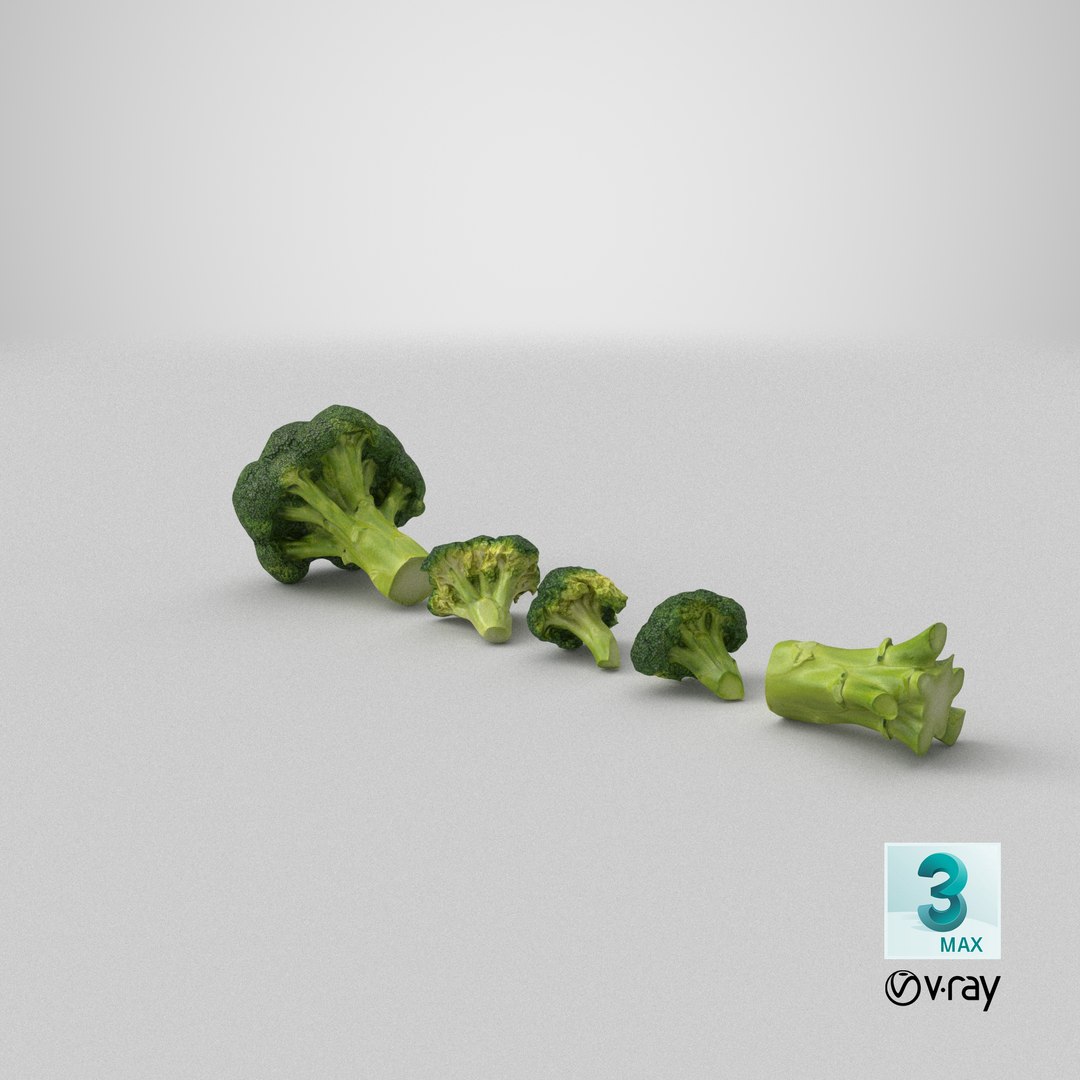 vegetable broccoli 3D model https://p.turbosquid.com/ts-thumb/gq/wO04DC/b1/stemcell_max_vray_render/png/1613615123/1920x1080/fit_q87/40dfec41ffcd2cf81d168f3cb9fb0d5f4a6cf8ed/stemcell_max_vray_render.jpg
