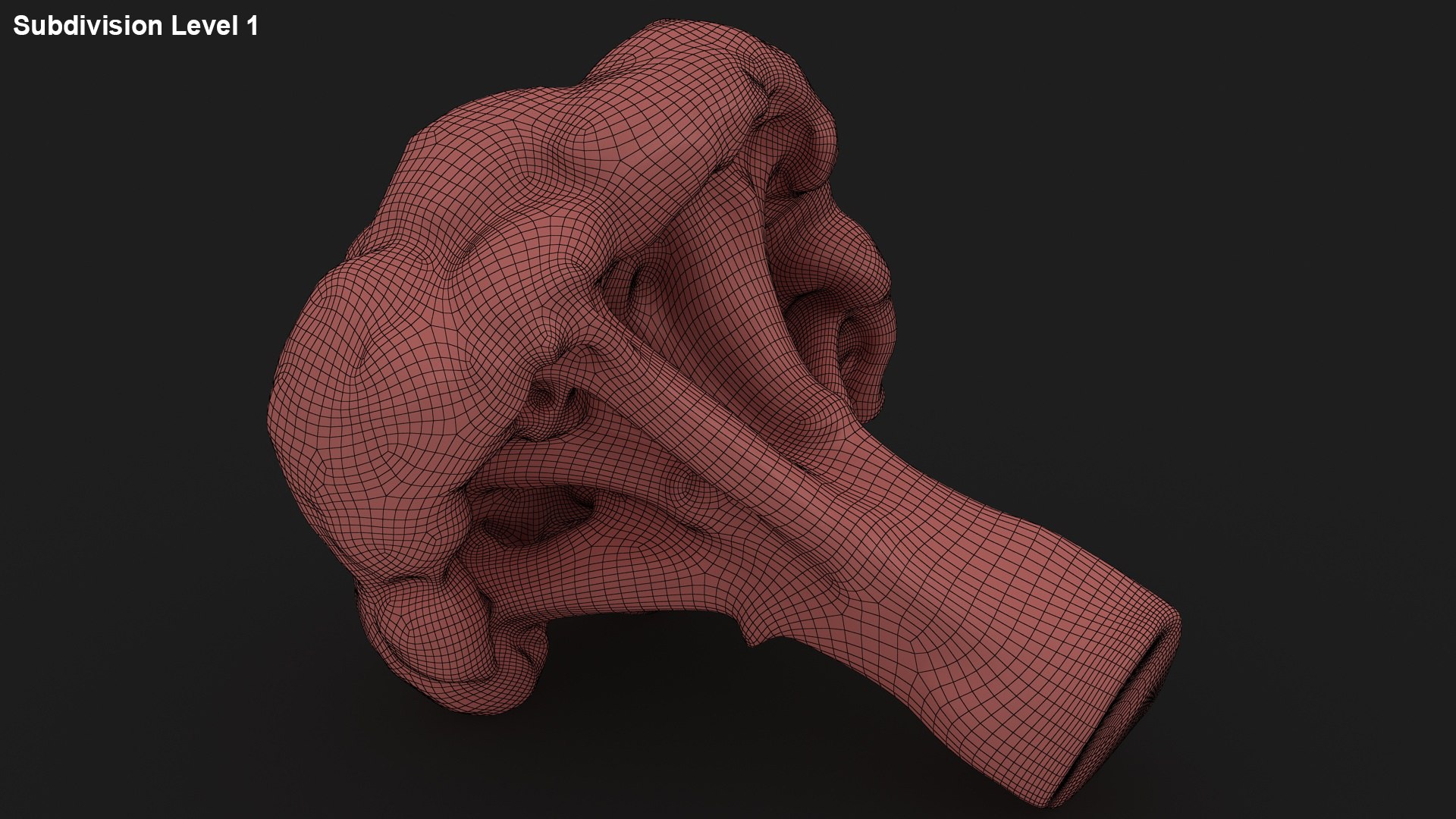 vegetable broccoli 3D model https://p.turbosquid.com/ts-thumb/gq/wO04DC/f1/36/jpg/1612022356/1920x1080/fit_q87/771c3c58c792a8e94f0934756d873af8ab7c48c8/36.jpg