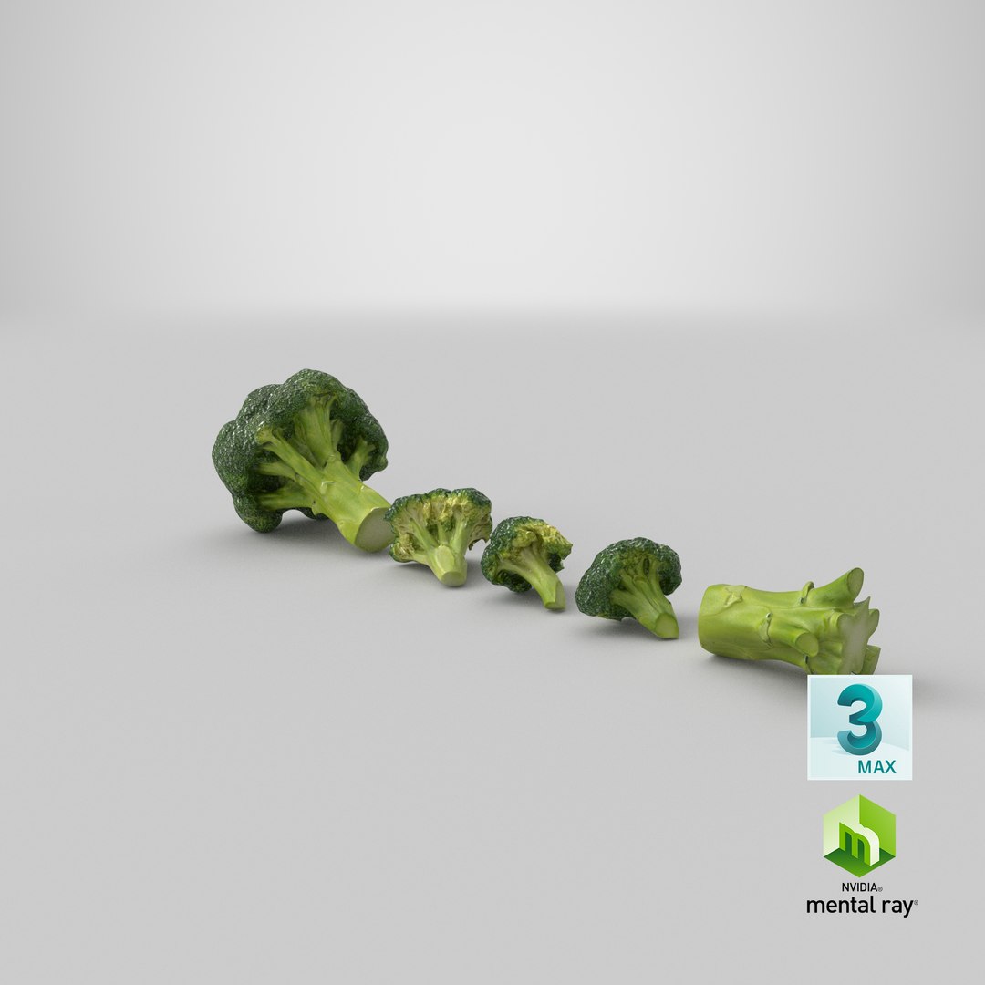 vegetable broccoli 3D model https://p.turbosquid.com/ts-thumb/gq/wO04DC/h7/stemcell_max_mental_ray_render/png/1613615122/1920x1080/fit_q87/4d5b4ad499fa557748cbdd3f30e7d1eec3dccd7d/stemcell_max_mental_ray_render.jpg