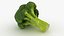 Ensemble de brocoli