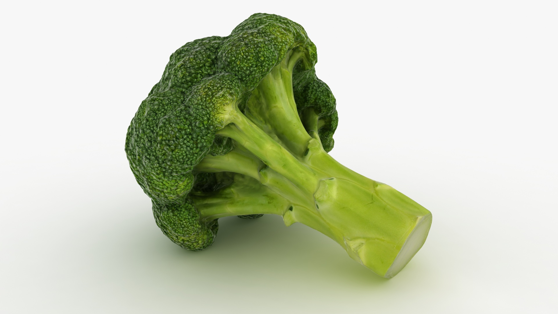 vegetable broccoli 3D model https://p.turbosquid.com/ts-thumb/gq/wO04DC/j7/brocc/jpg/1612022384/1920x1080/turn_fit_q99/f149d7388231b8b60d0bd74ae393837a6e84b6c3/brocc-1.jpg