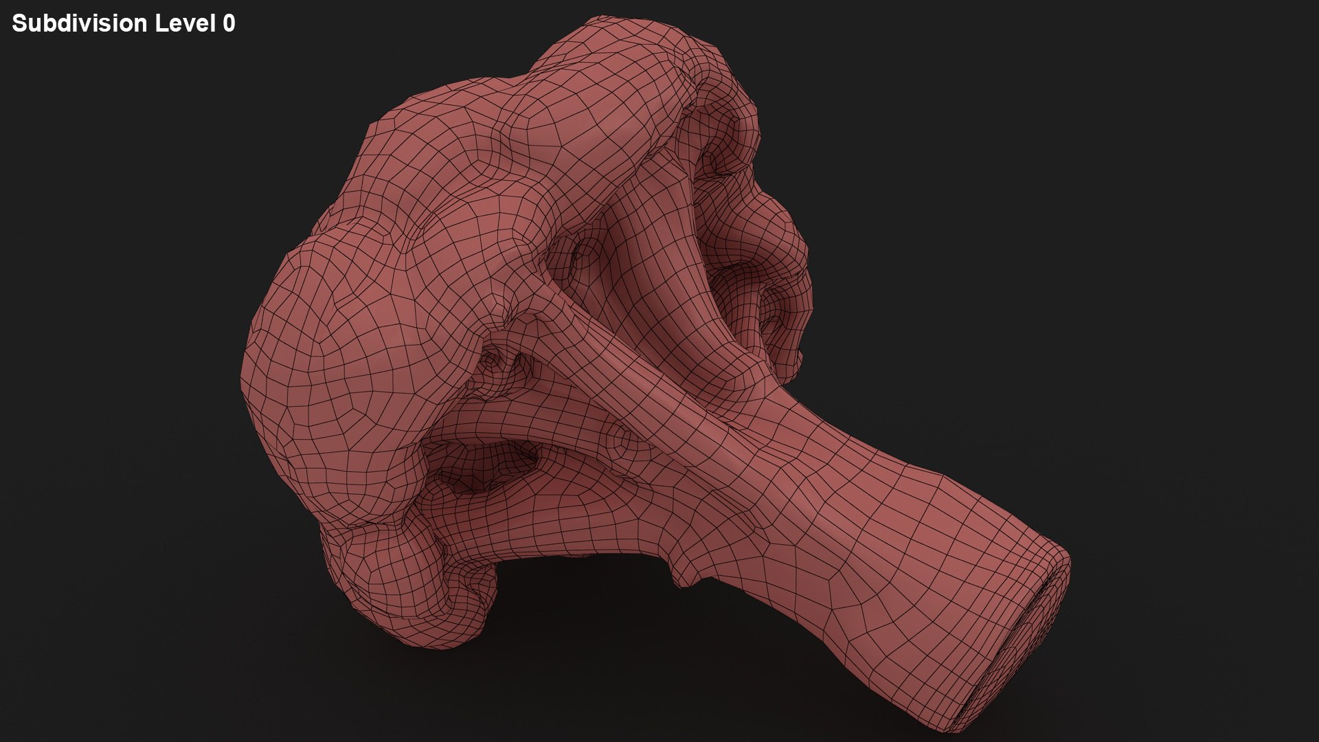 vegetable broccoli 3D model https://p.turbosquid.com/ts-thumb/gq/wO04DC/mU/35/jpg/1612022355/1920x1080/fit_q87/e28c8aa482c0eb81f0c22c038e2b07a13114fc3d/35.jpg