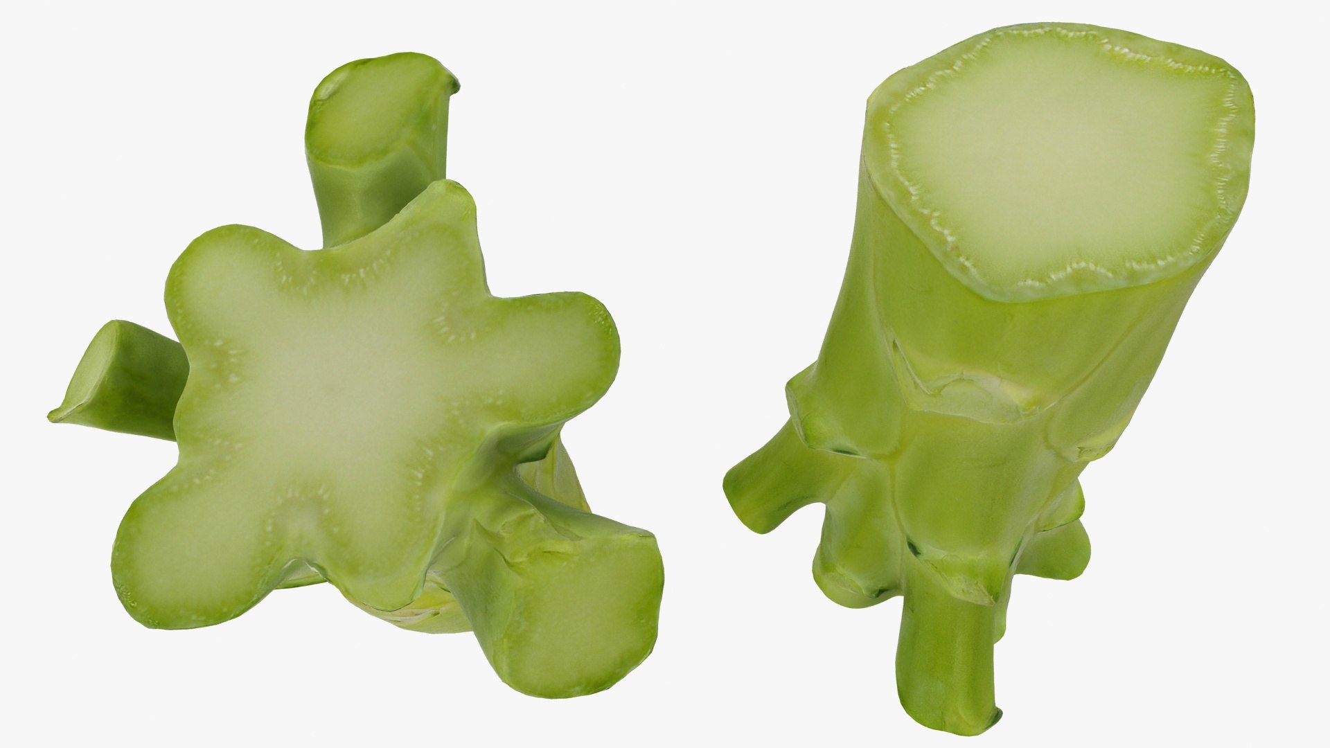 vegetable broccoli 3D model https://p.turbosquid.com/ts-thumb/gq/wO04DC/rV/43/jpg/1612022350/1920x1080/fit_q87/4fdad6ca407c929c9023dc6447ccbe3519e071b3/43.jpg