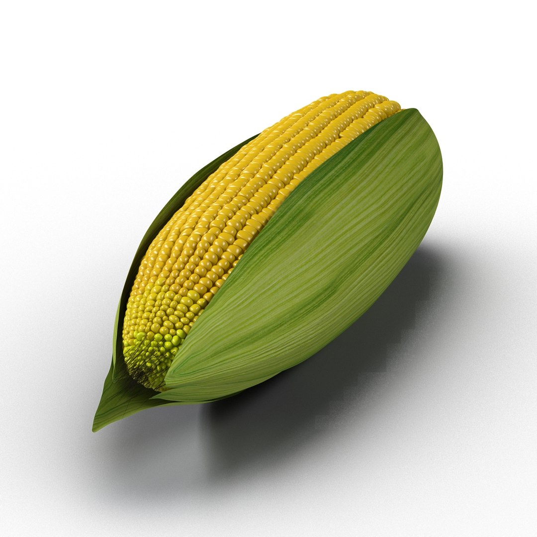 3d Corn 2 Model