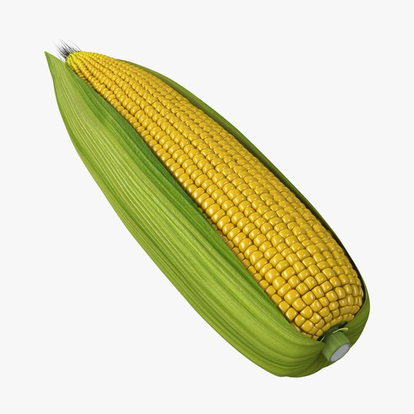 3d corn 2 model