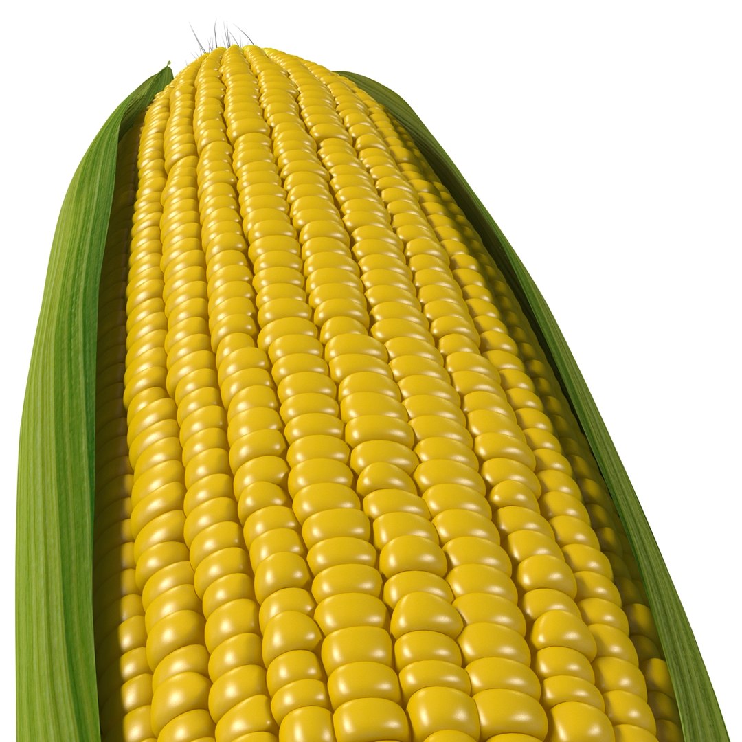 3d Corn 2 Model