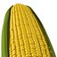 Corn 2 3D Model