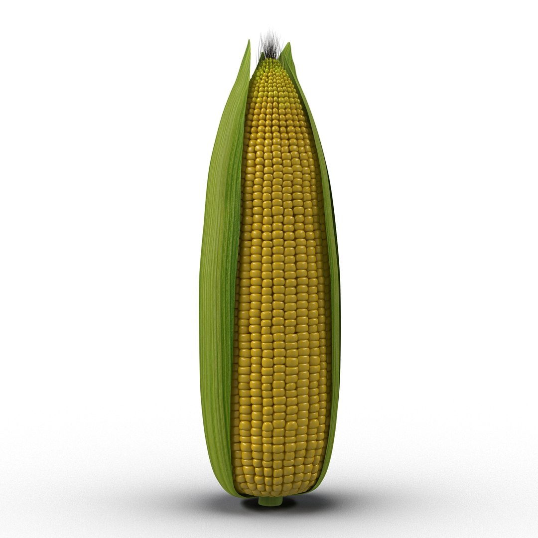 3d Corn 2 Model