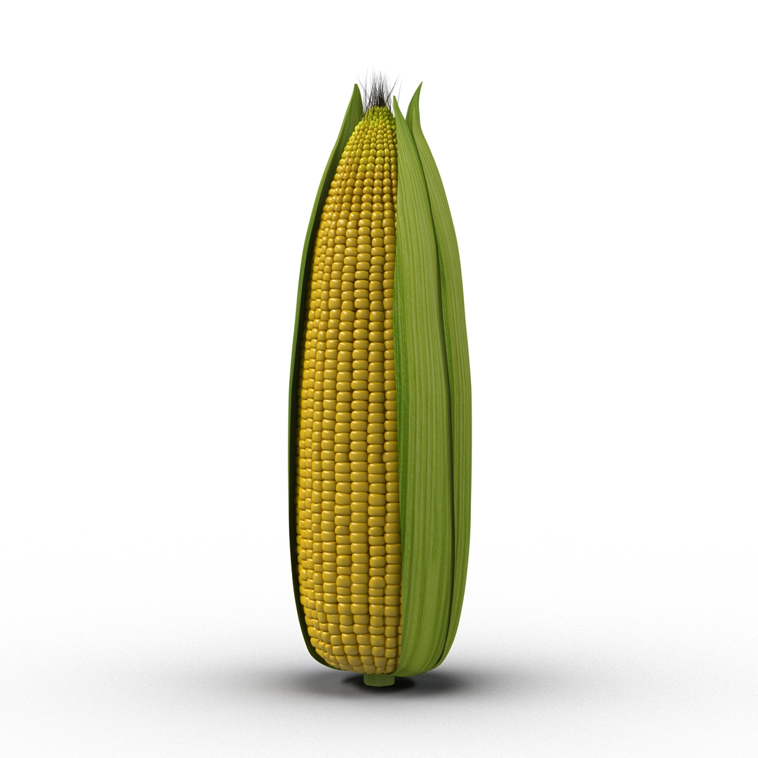 3d Corn 2 Model