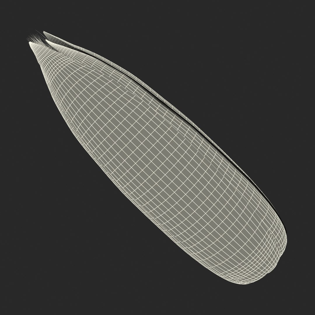 3d corn 2 model https://p.turbosquid.com/ts-thumb/gr/0rhyhE/jFYJVtgs/3dmodelofcorn20/jpg/1453116783/1920x1080/fit_q87/1f97e4b926aff252b2eb986446a4def296a46751/3dmodelofcorn20.jpg