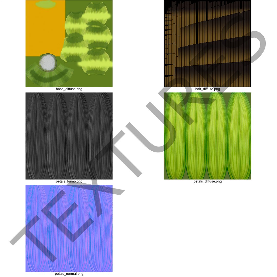3d corn 2 model https://p.turbosquid.com/ts-thumb/gr/0rhyhE/mnjXIaEb/3dmodelofcorn17/jpg/1453116783/1920x1080/fit_q87/bef76ba8d6651551c86f425d1281b70a2becc076/3dmodelofcorn17.jpg